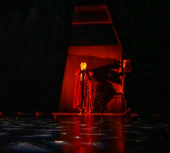 SAN IVANJSKE NOĆI SAN IVANJSKE NOĆI